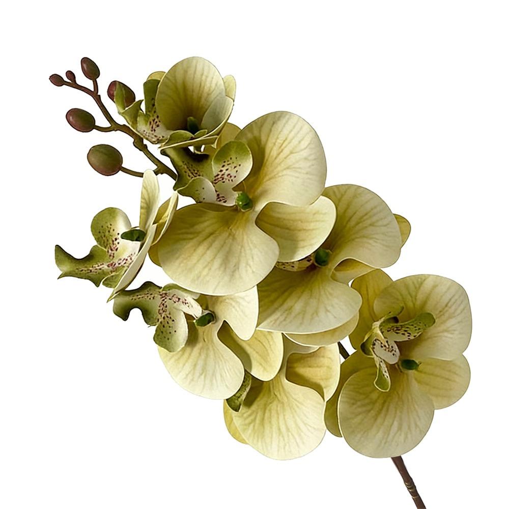 Butterfly Orchid Artificial Phalaenopsis Flower Long-lasting PVC Faux Orchid Stems Real Touch Single Branch Simulation Orchid