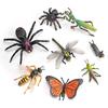 Jungle Rainforest Insect Butterfly Poison Spider Pvc Model Set With Realistic Wildlife Display For Nature Enthusiasts