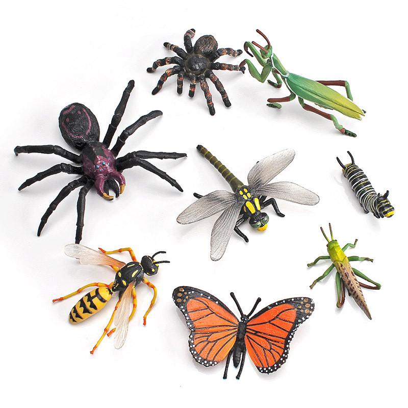 Jungle Rainforest Insect Butterfly Poison Spider Pvc Model Set With Realistic Wildlife Display For Nature Enthusiasts