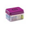 THERMOBABY Stérilisateur Double Usage Prune