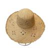 Ins Hollow Lafite Straw Hat Women's Summer Big Brim Sunshade Sunscreen Hat Seaside Resort Beach Photo Sun Hat