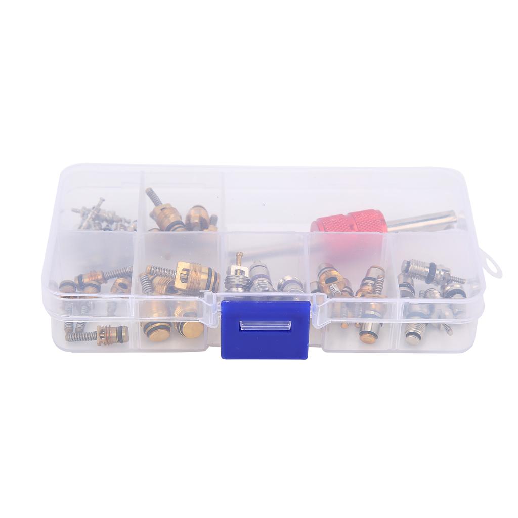 40PCS Car Air Conditioner Valve Core with Remover Tool 5101791AA   5189373AA Replacement for Chrysler