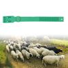 10Pcs Goat Collar Sheep Identification Bands Livestock  ing   Farming Equipment