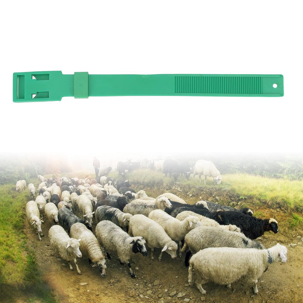 10Pcs Goat Collar Sheep Identification Bands Livestock ing Farming Equipment
