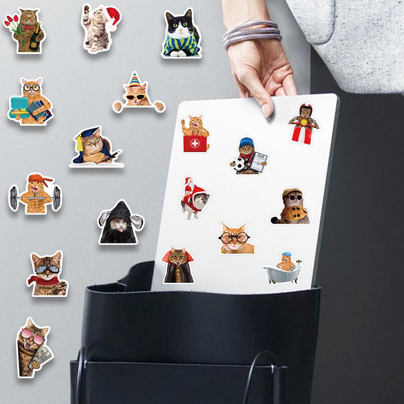 Cute Kitten Stickers for Suitcase, Computer, Motorcycle, Guitar - Waterproof Graffiti Decals
