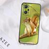 Squirrel Case For Realme 15 14 13 11 12 Pro Plus GT6 GT7 Pro C55 C51 C53 C35 C33 C31 C61 C67 C71 C75