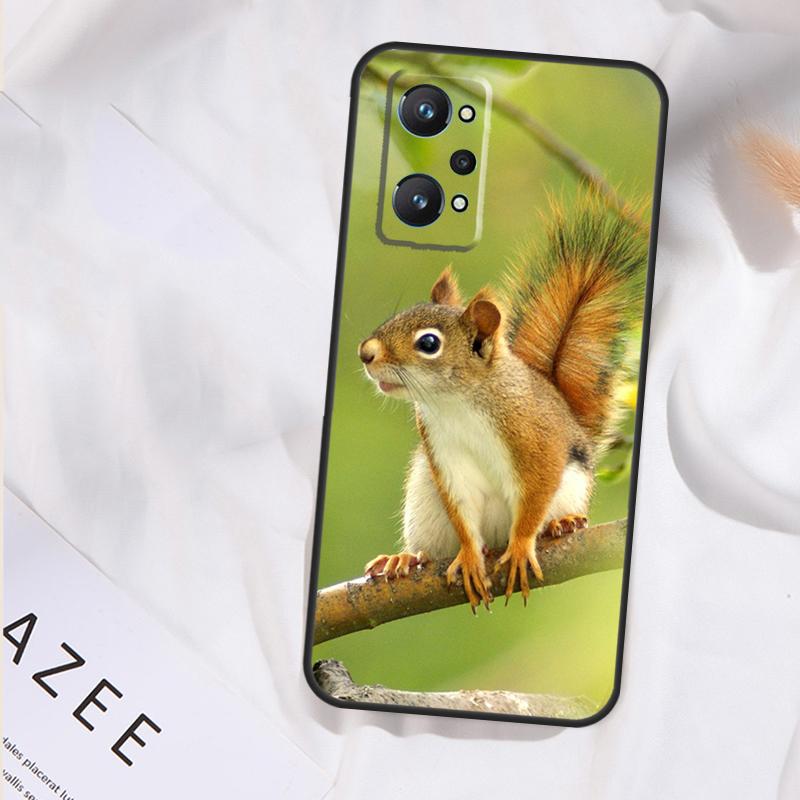 Squirrel Case For Realme 15 14 13 11 12 Pro Plus GT6 GT7 Pro C55 C51 C53 C35 C33 C31 C61 C67 C71 C75