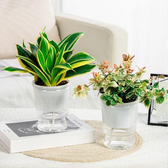 Self Watering Planter Pots African Violet Pots for Indoor Outdoor Windowsill Garden Modern Plastic Plant Pot with Wick Rope And Reservoir