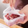 Contenitore per Alimenti Congelati Frutta Scatola Portaoggetti Portatile Scomparto Organizzatori Frigorifero Congelatore Sottovuoto Carne Cipolla Zenzero Trasparente