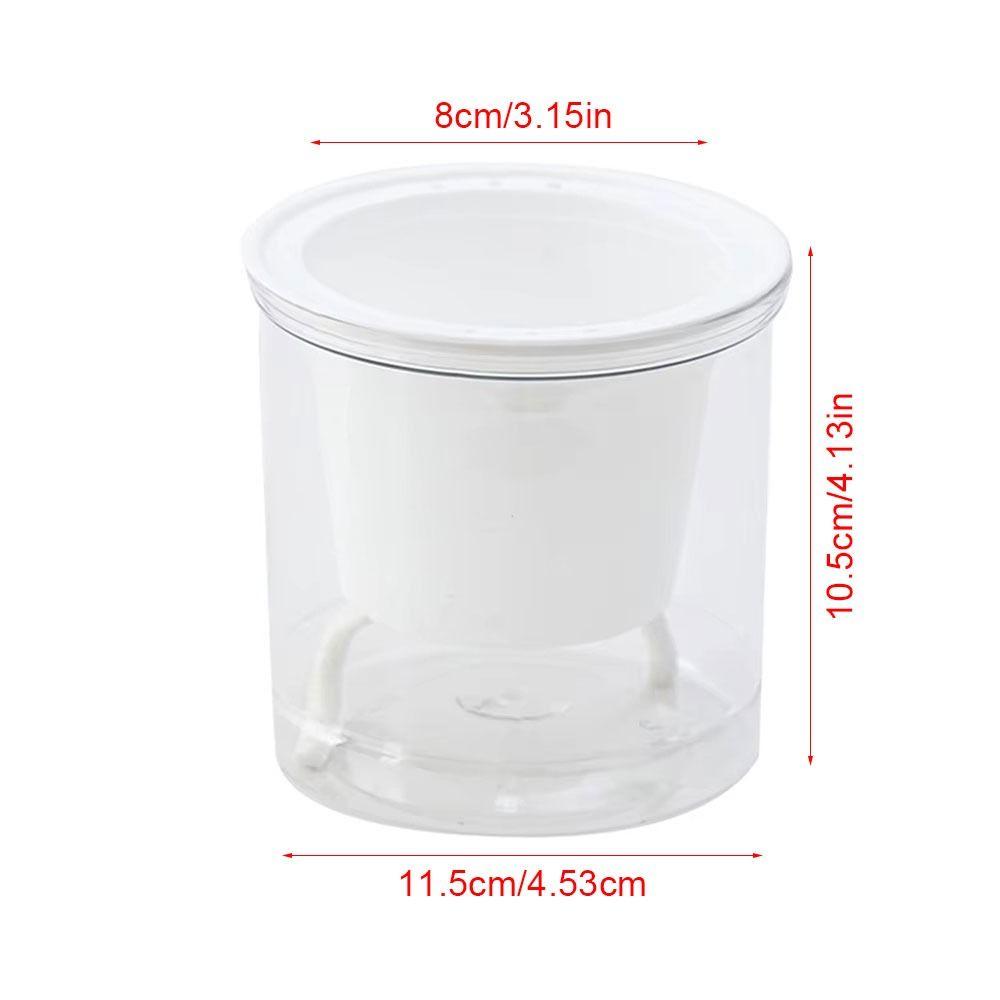 1Pcs Automatic Water Absorption Flower Pot Self Watering Double-layer Hydroponic Planter Plastic Transparent
