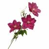 One Artificial Clematis Flower Branch 3 Heads Real Touch Passion Blossom for Wedding Party Floral Decoration