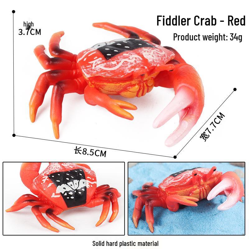 Children's Cognitive Toy: Hermit Crab Marine Animal Model Ornament