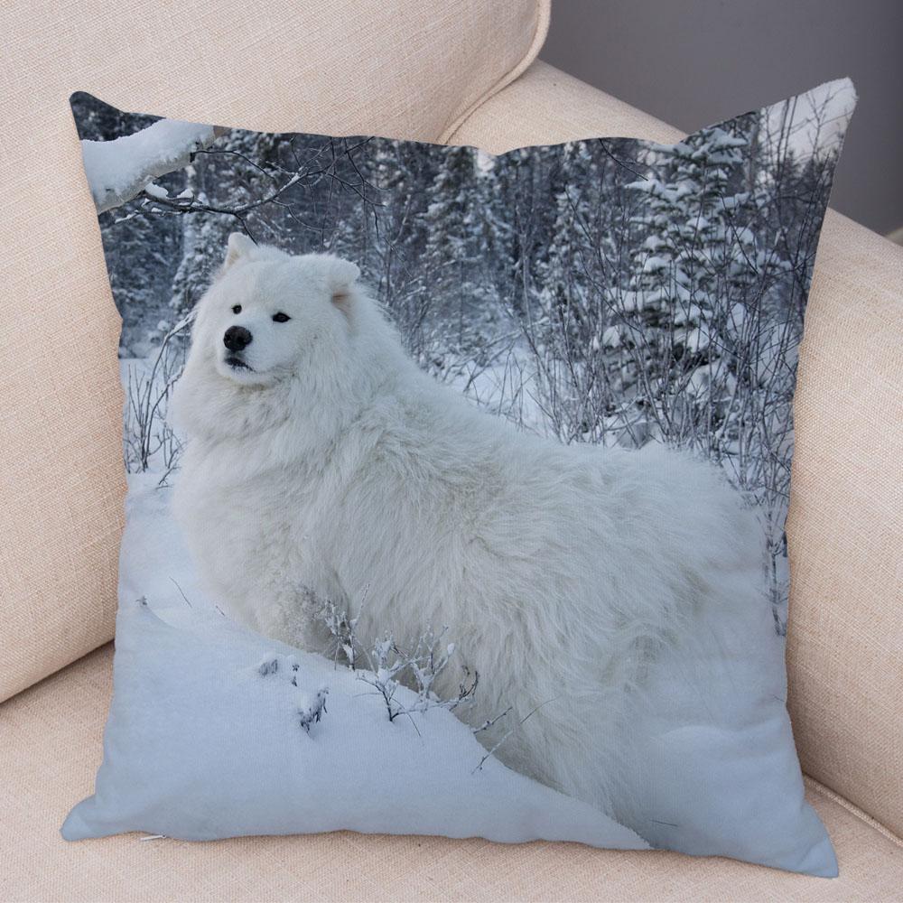 50 Stil Husă de Pernă Câine Alb Drăguț Samoyed Decor Husă de Pernă Animal de Companie Iubitor Husă de Pernă Moale de Pluș pentru Canapé Cameră Copii
