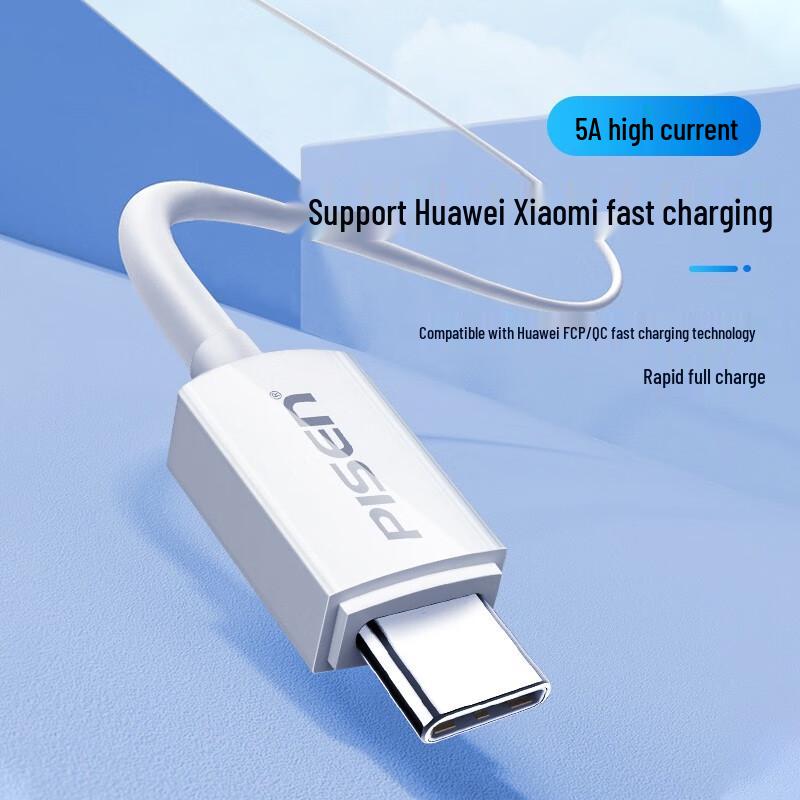 Pisen Dual Type-C PD 100W Fast Charging Cable