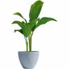 Plant Pot Garden ID Grey 30 X 26 Cm