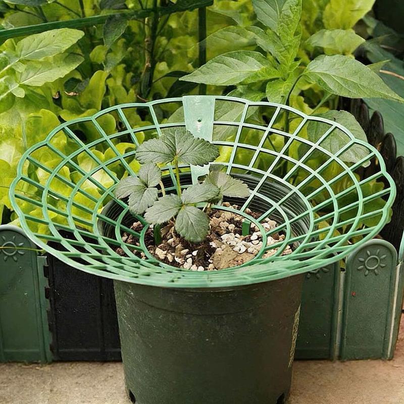 10Pcs Durable Watermelon Support Rack 3-Legged Reusable Strawberry Planting Holder Plant Protector for Farm Vegetable Growing
