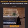 Transparent Reptile Tank Breathable Reptile Transport Container  Reptile Pet Supplies