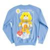 Care Bears Unisex Adult Embroidered Sweatshirt