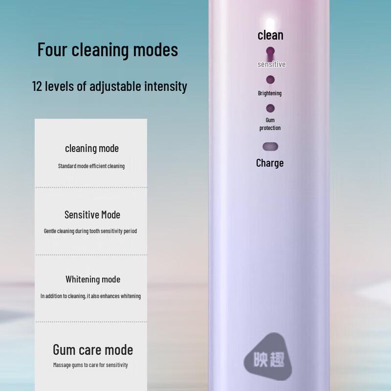 Yingqu T502 Rechargeable Sonic Electric Toothbrush