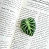 Japanese Korean Fresh Leaf Resin Airbag Holder - Retractable Folding Phone Stand