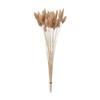 Tohoku Flower Materials Lagrass Pink Beige Dried Flower DT073073 Color Dry Length Approx. 40cm