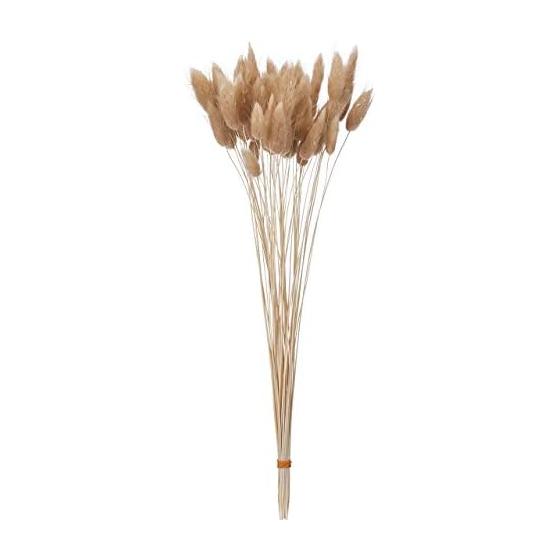 Tohoku Flower Materials Lagrass Pink Beige Dried Flower DT073073 Color Dry Length Approx. 40cm