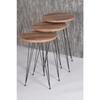 Center Table And Nesting Table Walnut Set Wire Leg Ellipse