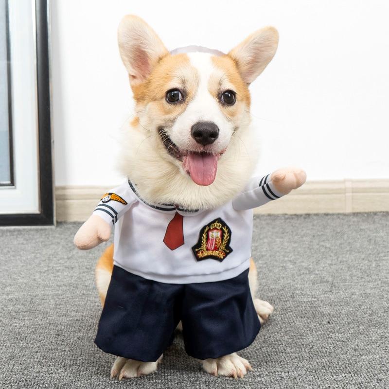 Hundekleidung, lustiges Kostüm, Halloween, Welpen-Sweatshirt, Anzug, Hund, Cosplay-Kleidung, Party-Kleidung, Katzen- und Hunde-Sets, Haustierkleid, Hunde-Outfits