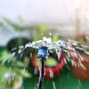 Adjustable Blue Umbrella-Shaped Drip Irrigation Sprinkler for Fruit Tree Watering Systems.