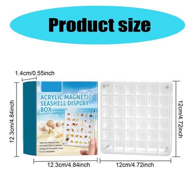 Clear Shells Display Case Seashells Storage Box for Home Decoration and Museums
