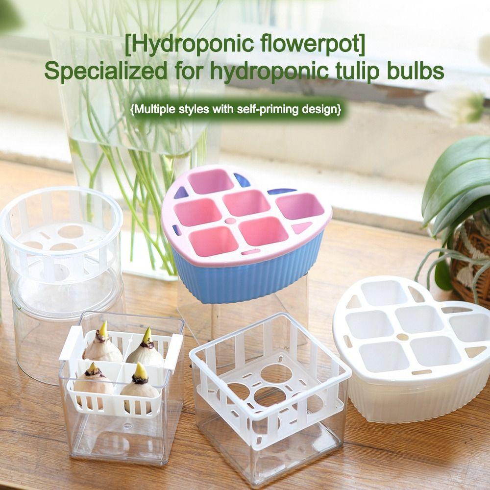 Clear Tulip Hydroponic Flowerpot With Breathable Support Basket Flower Pot Home Decoration