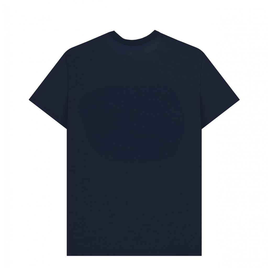 Apoh Unisex Adult Manga Hokusai T-Shirt