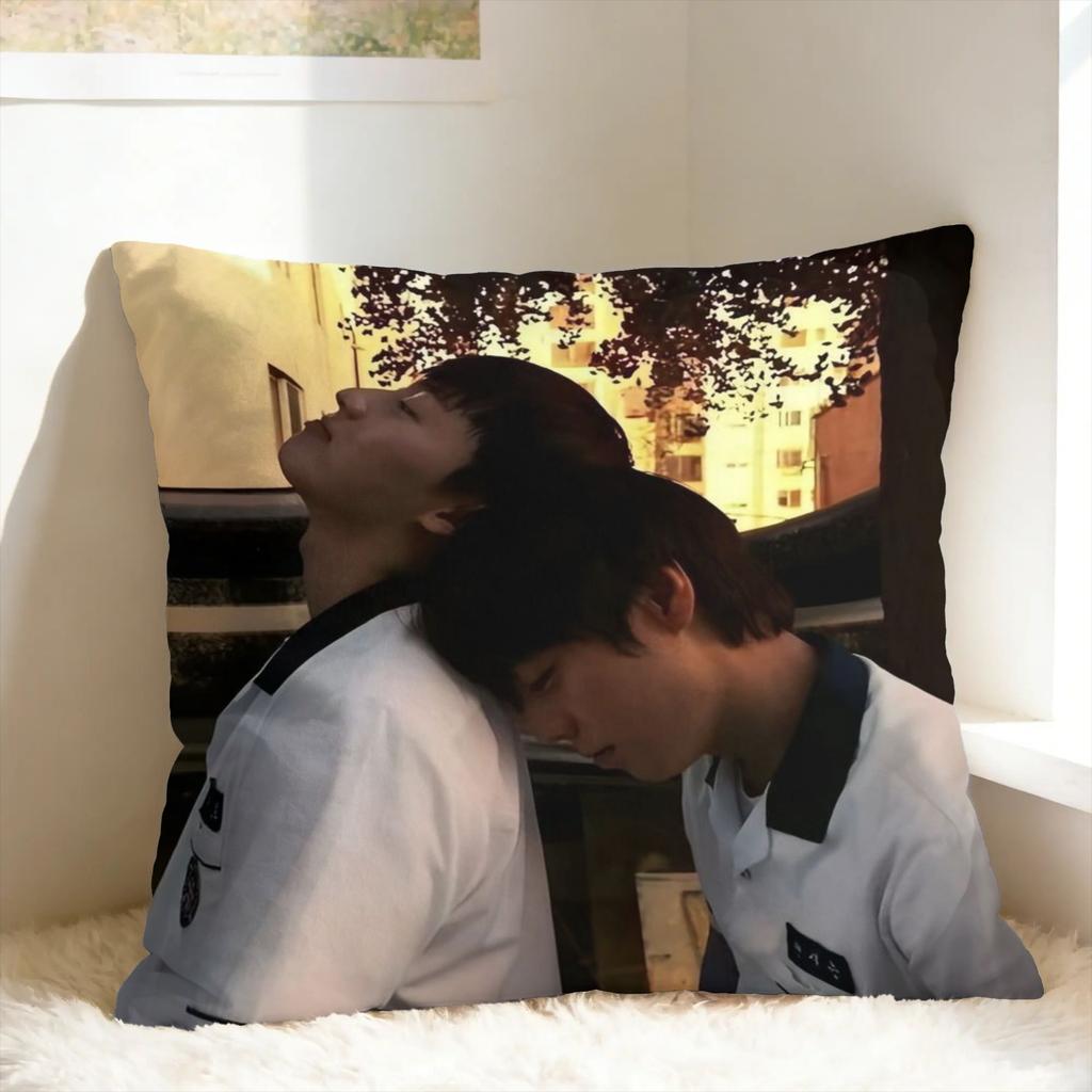 Hot Kdrama Weak Hero Class Pillow Case Funny Pillow Cover Soft Pillowcases For Couch Sofa Bedroom