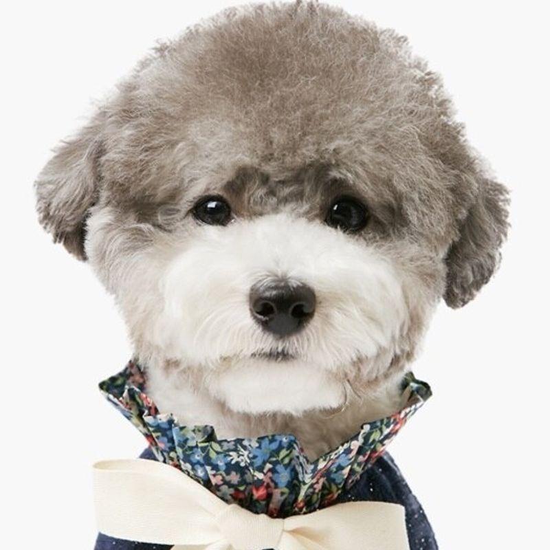 PET AROUND Floral T-Shirt Navy