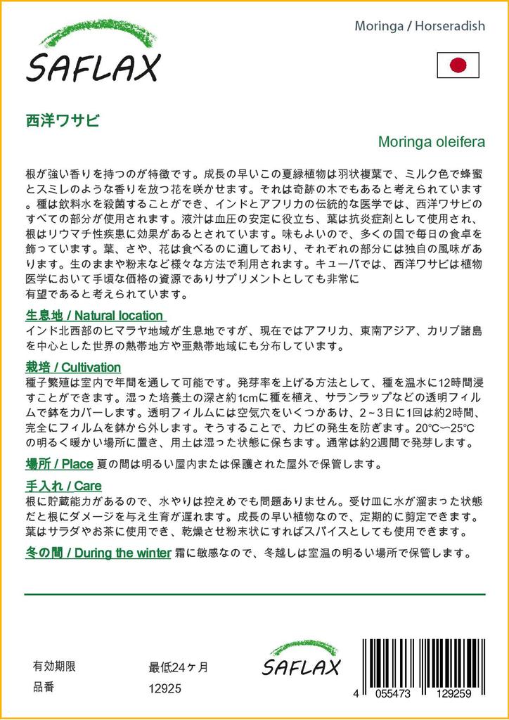 SAFLAX Χρένο - 10 σπόροι - Moringa oleifera