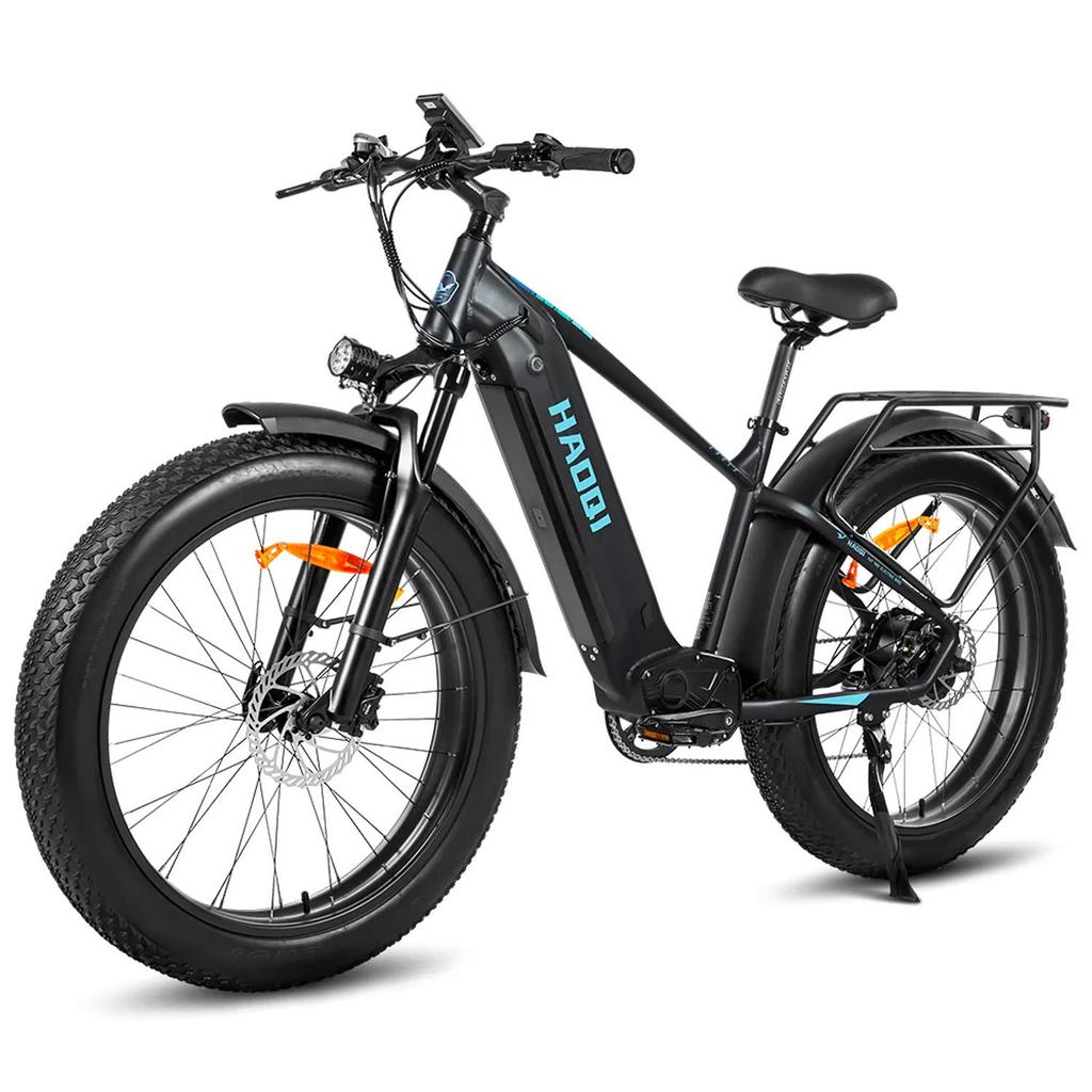 HAOQI Eagle 2.0 Step Over All-Terrain Adult Electric Bike 48V20Ah Battery 250W Motor Electric Bicycle  26 Inch Off-Road Tires E-Mountian Bike