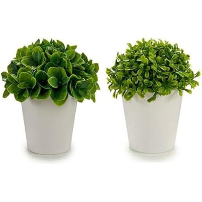 Plante décorative - IBERGARDEN - Multicolore - Plastique - 13 x 17 x 13 cm - 12 unités