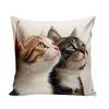 Vibrant Bohemian Style Short Plush Pillow Cover 45x45cm Charming Kitten Living Room Bedroom Decor (Pillow Insert Not Included)