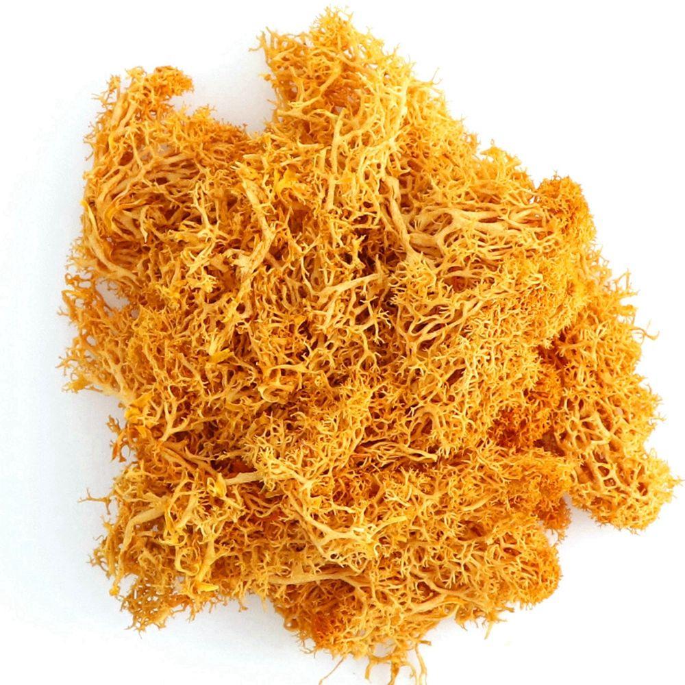 

Fake Flowers Green Plants Living Room Moss Eternal Moss Garden Decoration Artificial Plants помаранчевий