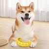 High Quality Bite-resistant TPR Pet Dog Chew Design Teeth Cleaning Dog Teeth Cleaning Pet Supplies for Small Medium Dogs