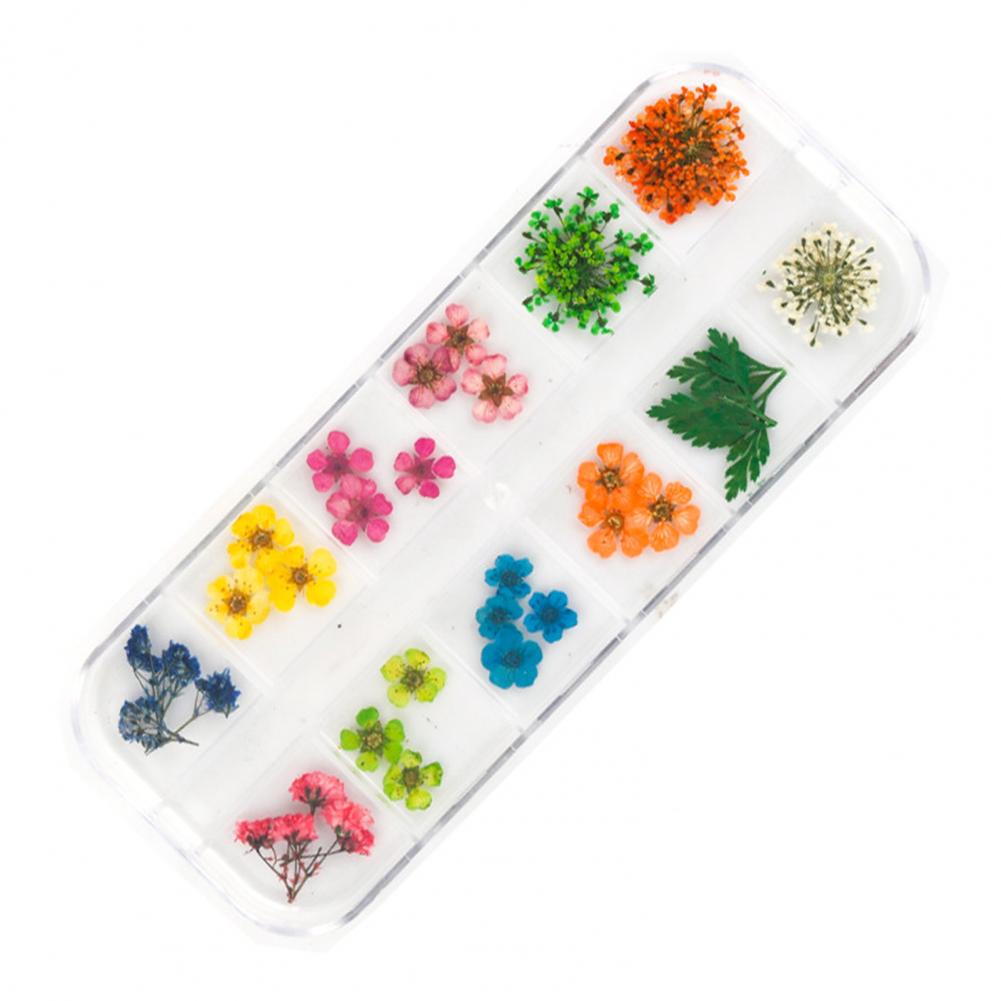 Dried Flower Nail Decoration Nail Art Accessories Vibrant Floral Nail Art Supplies 12 Colors of Natural Dried for Manicure