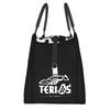 Terios Tragbare Lunchboxen für Damen Multifunktionale Kühltasche Thermische Isolierte Lunchtasche Reise Arbeit Picknick Behälter