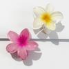 Hawaiian Gradient Hair Clips Women Flower Hair Claws Shark Hairpins Vacation Beach Hairpins Hair Accessories