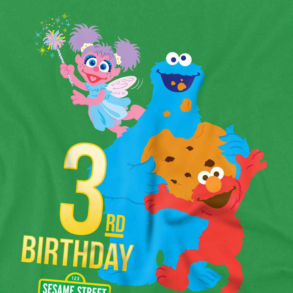 Sesame Street Unisex Adult 3rd Birthday T-Shirt
