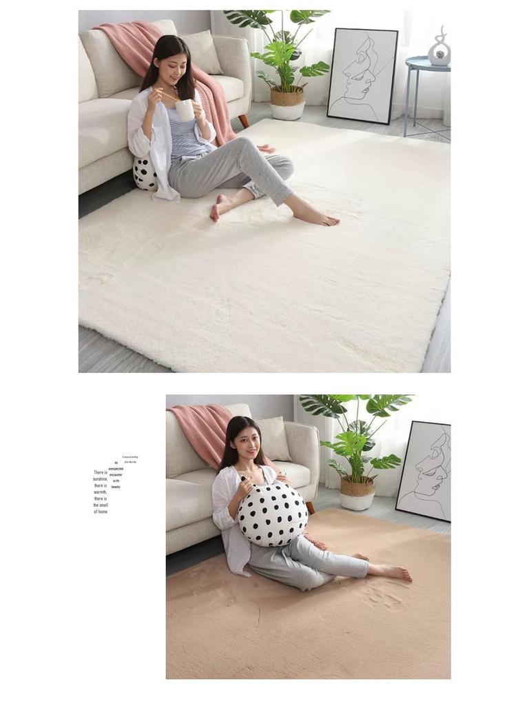 Instyle Thick Plush Imitation Rabbit Fur Carpet for Bedroom, Living Room, or Bay Window