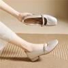 French fashion square head single shoes, early spring single shoes, simple temperament women's shoes, light mouth thick heel Mary Jane shoes