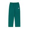 VOLCOM Two Face Oversized Basic Pants (3 Colors)