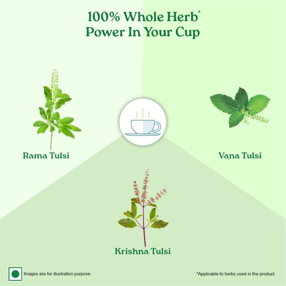 Organic India Tulsi Green Tea Classic Loose Leaves 100 g Refreshing Antioxidant Herbal Blend for Daily Wellness and Calm Moments