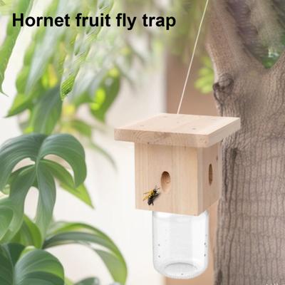 Insectos – Apicultura
