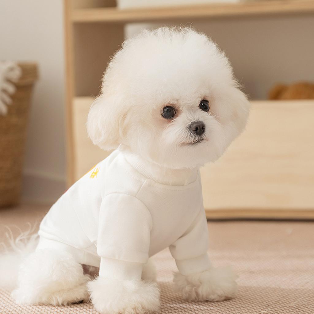 Autumn and winter pet clothes cartoon national tide series thin sweater small dog than bear teddy two-legged dog clothes
